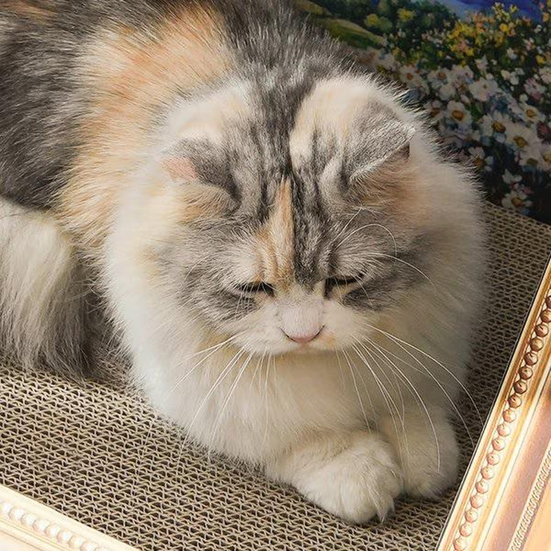 15-In Retro Art Cat Scratcher Multi-Functional Pet Cat Scratch Board, Scratch-Resistant and Wear-Resistant, Can Lie and Play,Oil Painting Scenic Design