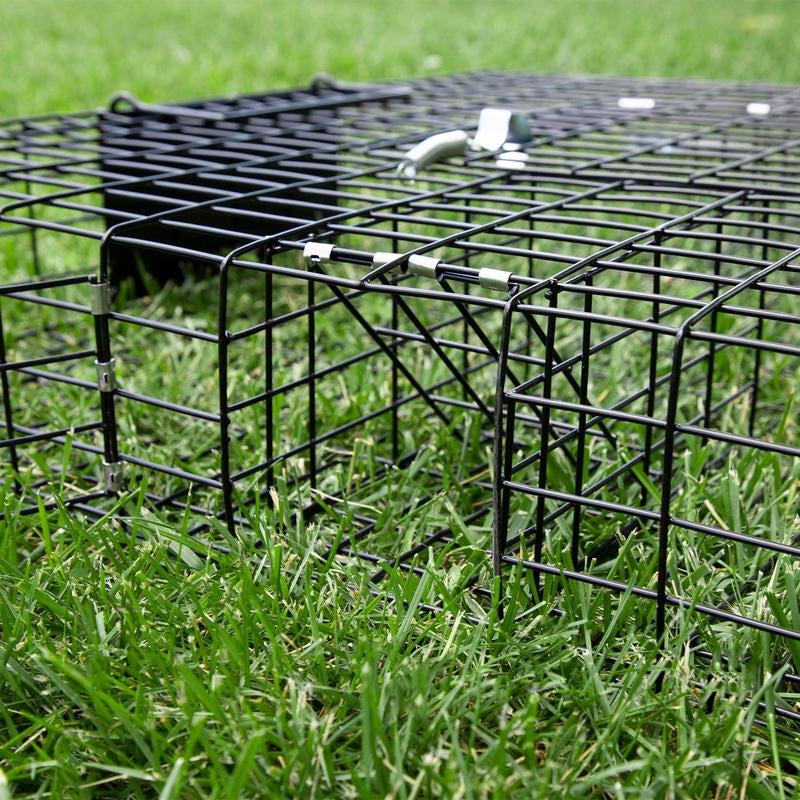 Rugged Ranch SQRTO Squirrelinator Trap Catchmor Live Animal 2 Door Metal Cage 1/2 Pack