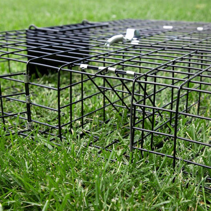 Rugged Ranch SQRTO Squirrelinator Trap Catchmor Live Animal 2 Door Metal Cage 1/2 Pack