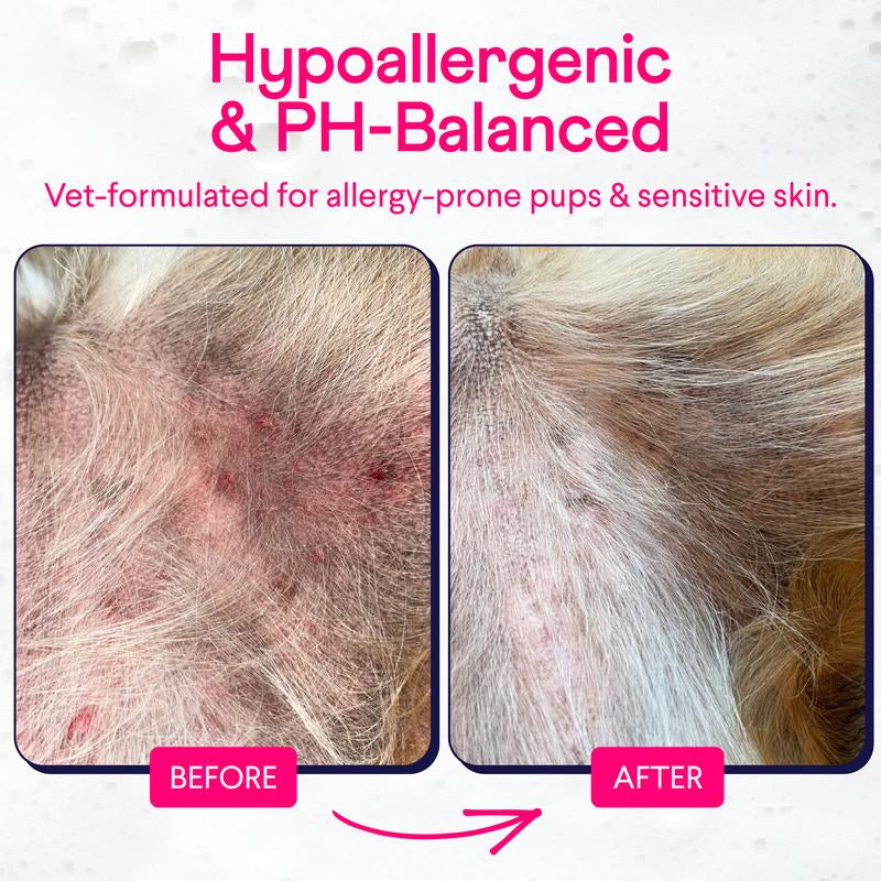 FINN Fur Hero Vet-Formulated Shampoo for Dogs with Aloe Vitamin E & Coconut Cleansers Natural Chamomile Scent Softens Shine First Use