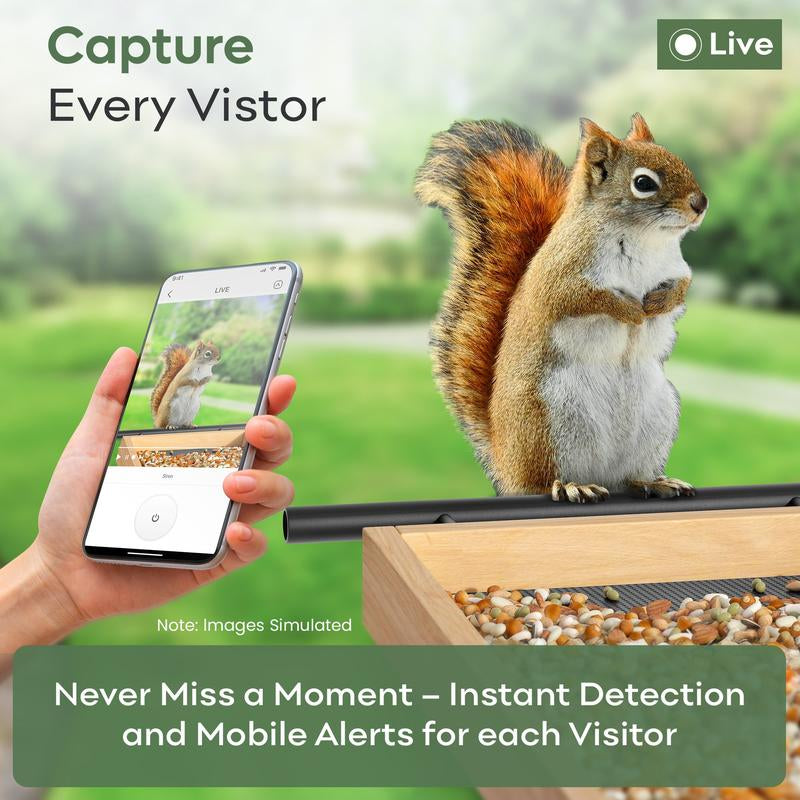 Adomii Smart Bird Feeder Camera Solar Powered with AI Bird Identification Live View HD Video Recording Cedarwood Gift for Bird Lovers & Families