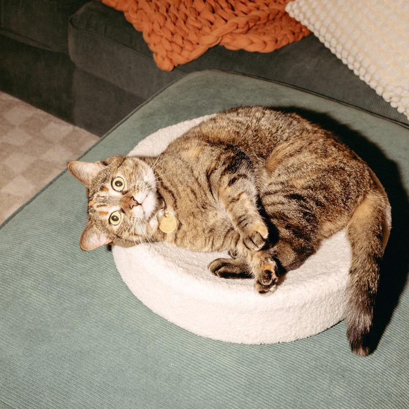 Kip Cat Bed - Faux Shearling Bed, Nest-Like Comfort, Anti-Slip Bottom, Cute Cat Bed