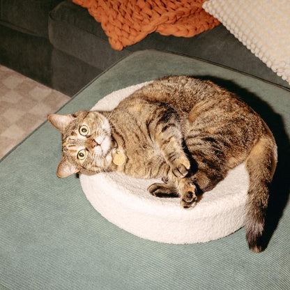 Kip Cat Bed - Faux Shearling Bed, Nest-Like Comfort, Anti-Slip Bottom, Cute Cat Bed