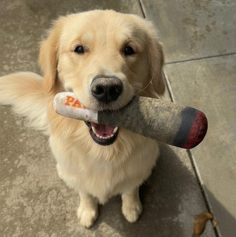 Parody Joint Dog Chew Toy with Squeaker - Funny Pet Toys for Small, Medium, and Large Dogs.