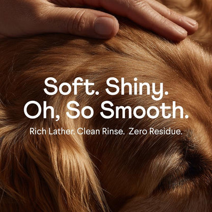 FINN Fur Hero Vet-Formulated Shampoo for Dogs with Aloe Vitamin E & Coconut Cleansers Natural Chamomile Scent Softens Shine First Use