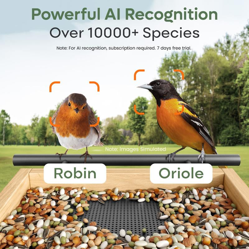 Adomii Smart Bird Feeder Camera Solar Powered with AI Bird Identification Live View HD Video Recording Cedarwood Gift for Bird Lovers & Families