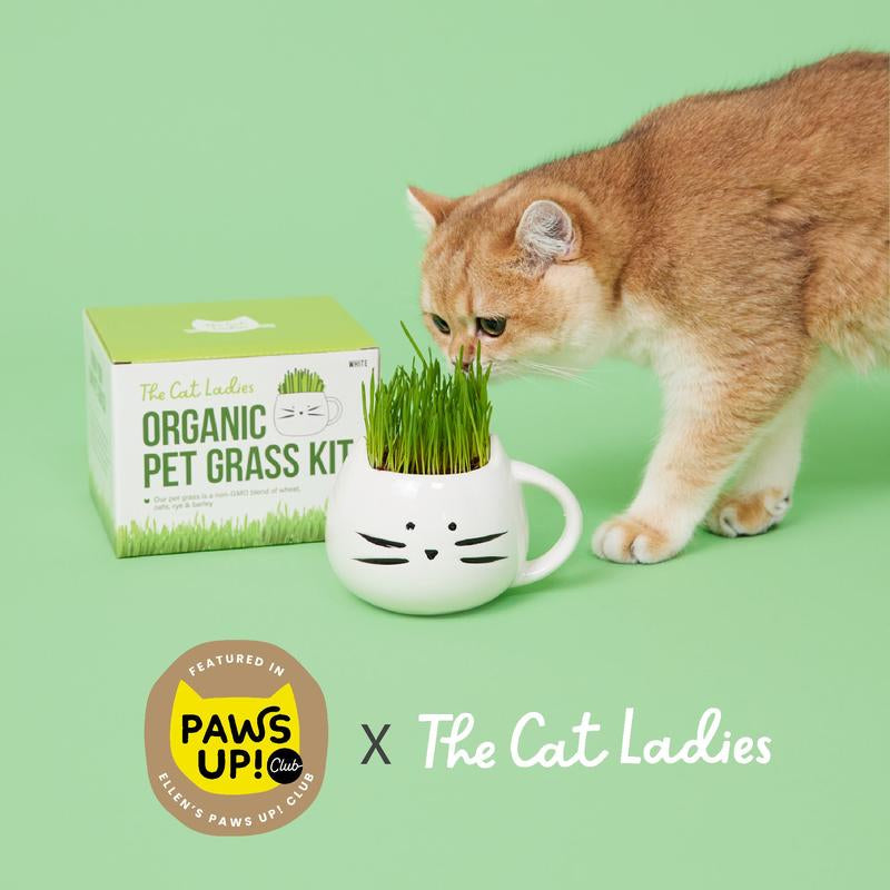 Cat Grass Growing Kit with Cat Grass Seed - White Cat Mug Planter