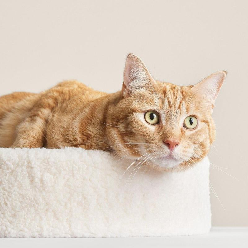 Kip Cat Bed - Faux Shearling Bed, Nest-Like Comfort, Anti-Slip Bottom, Cute Cat Bed