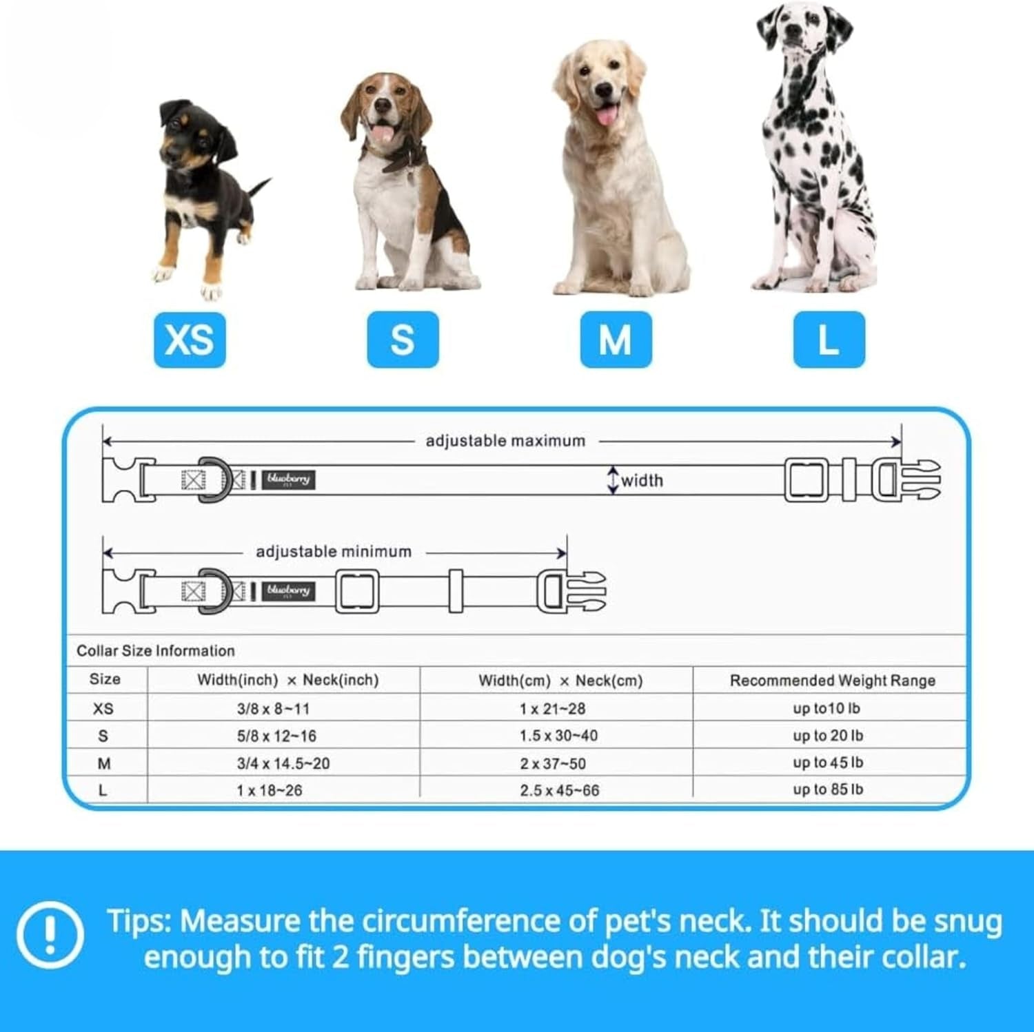 Christmas Holly Adjustable Dog Collar with Bowtie - Dog Collars for Small Dogs, Holiday Dog Collars, Christmas Collar for Dogs - Small Dog Collars for Female Dogs, 12-16" Neck